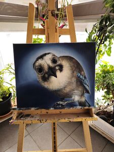 Curious Blue Jay — on the easel