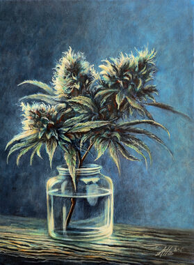 Cannabis Indica Branch in Glass Jar – Old Master Style Still Life