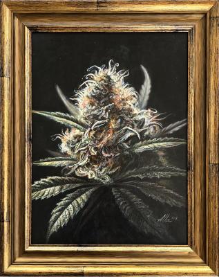 Oreoz Portrait – Realistic Cannabis Art
