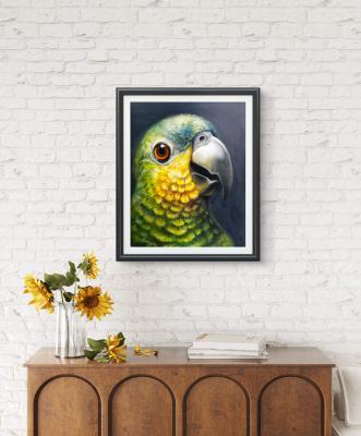 Amazon Parrot Coco