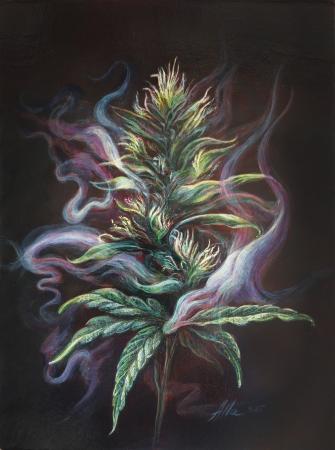 Scent of Indica – Botanical Cannabis Art in Old Masters Technique
