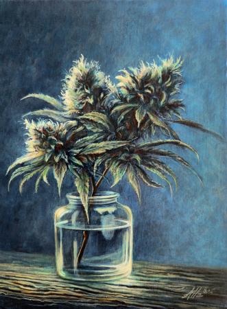 Cannabis Indica Branch in Glass Jar – Old Master Style Still Life