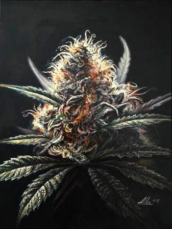 Oreoz Portrait – Realistic Cannabis Art