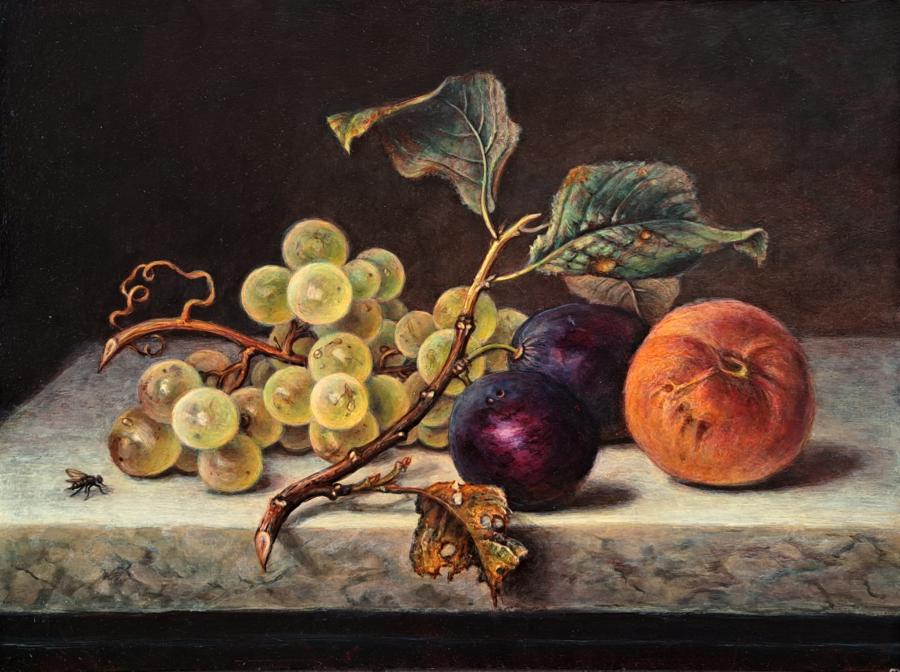 Grapes, Plums, and a Peach – Classic Still Life