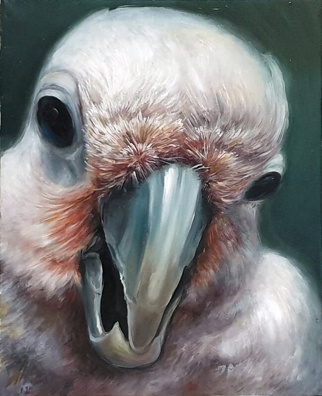 A Cockatoo Can Be Pure Tenderness