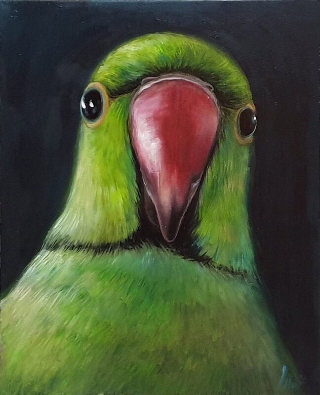 Chaser, the Chatterbox Bird