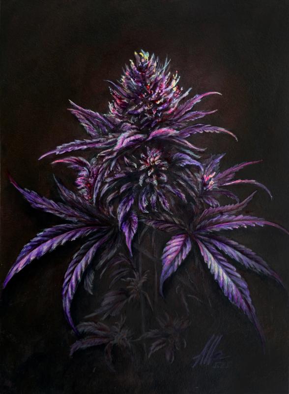 Purple Indica Flower – Symbolist Botanical Painting